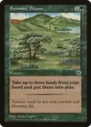 Product image for Summer Bloom