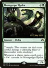 Product image for Managorger Hydra