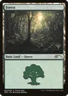 Product image for Forest