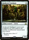 Product image for Awakened Amalgam