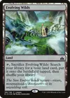 Product image for Evolving Wilds