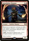 Product image for Shamane d'immolation