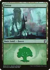 Product image for Forest