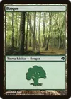 Product image for Forêt