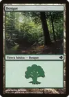 Product image for Forêt