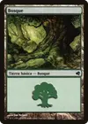 Product image for Forêt