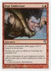 Product image for Rage balduviane