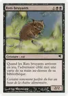 Product image for Rats bruyants