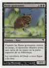 Product image for Chittering Rats