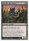 Product image for Slivoïde des cryptes