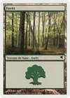 Product image for Forêt
