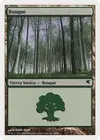 Product image for Forest