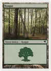 Product image for Forest