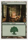 Product image for Forest