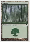 Product image for Forest