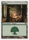Product image for Forest