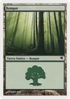 Product image for Forest