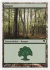 Product image for Forest