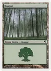 Product image for Forest