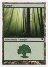 Product image for Forest