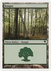 Product image for Forest