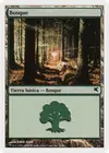 Product image for Forest