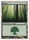 Product image for Forest