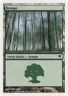 Product image for Forest