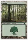 Product image for Forest