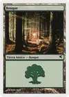 Product image for Forest