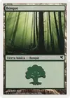 Product image for Forest