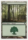 Product image for Forest