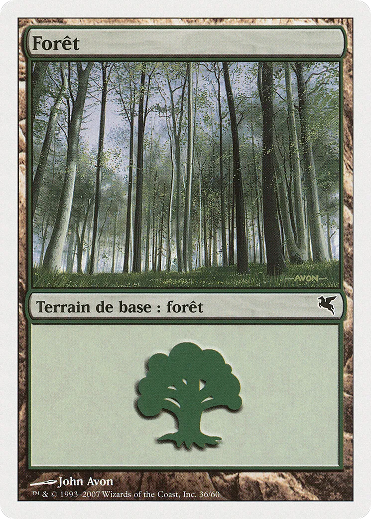 Forêt — Salvat 2005 — Magic: The Gathering