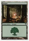 Product image for Forest