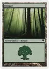 Product image for Forest