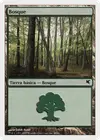 Product image for Forest