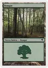 Product image for Forest