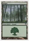 Product image for Forest
