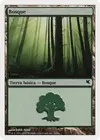 Product image for Forest