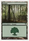 Product image for Forest