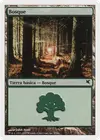 Product image for Forest