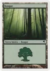 Product image for Forest