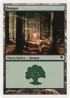 Product image for Forest