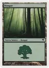 Product image for Forest