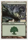 Product image for Forest
