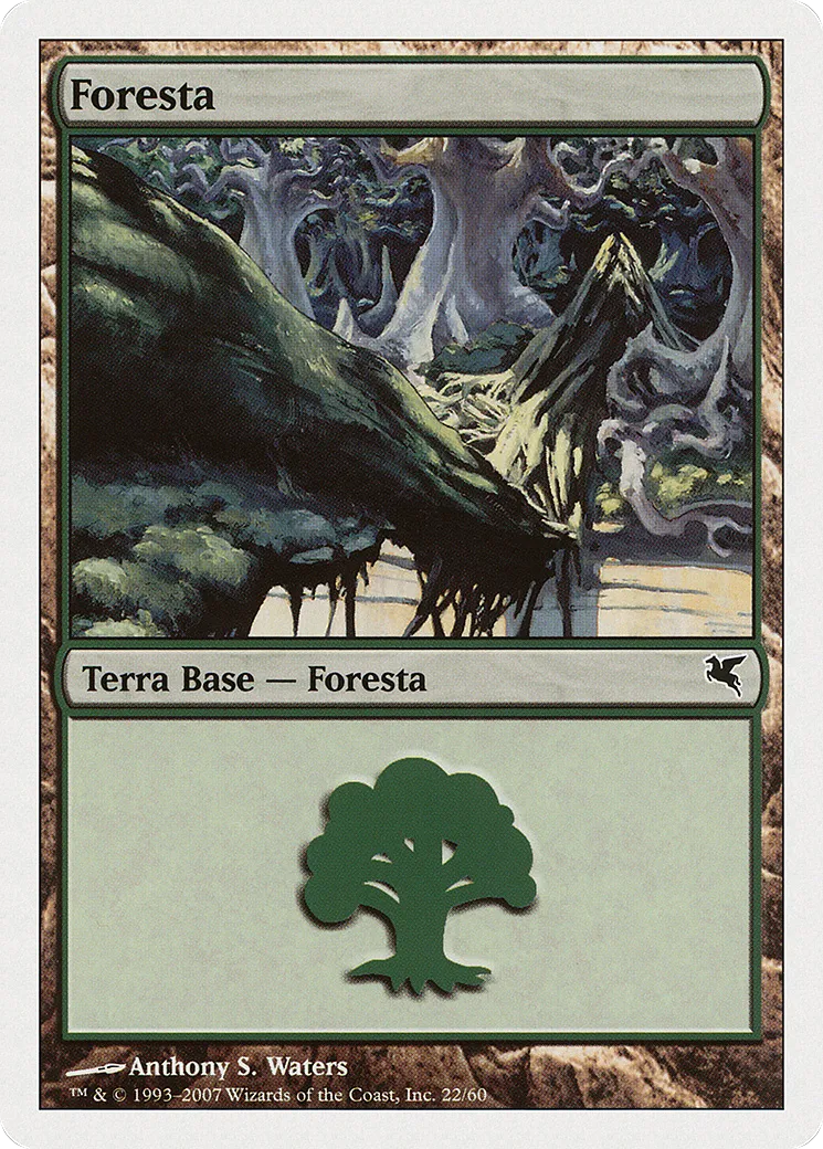 Forêt — Salvat 2005 — Magic: The Gathering