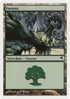 Product image for Forest