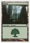Product image for Forest