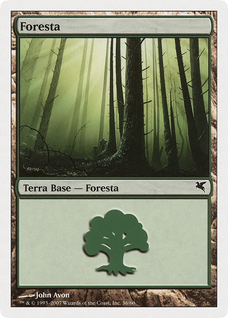 Forêt — Salvat 2005 — Magic: The Gathering