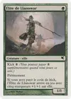 Product image for Élite de Llanowar
